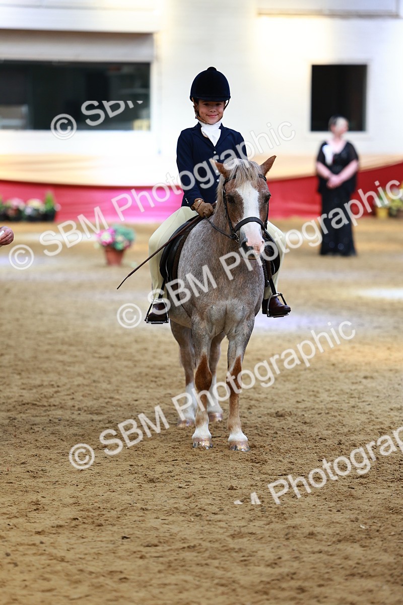 SBM_23932 - Class 905 - Supreme Final - Ridden Veteran