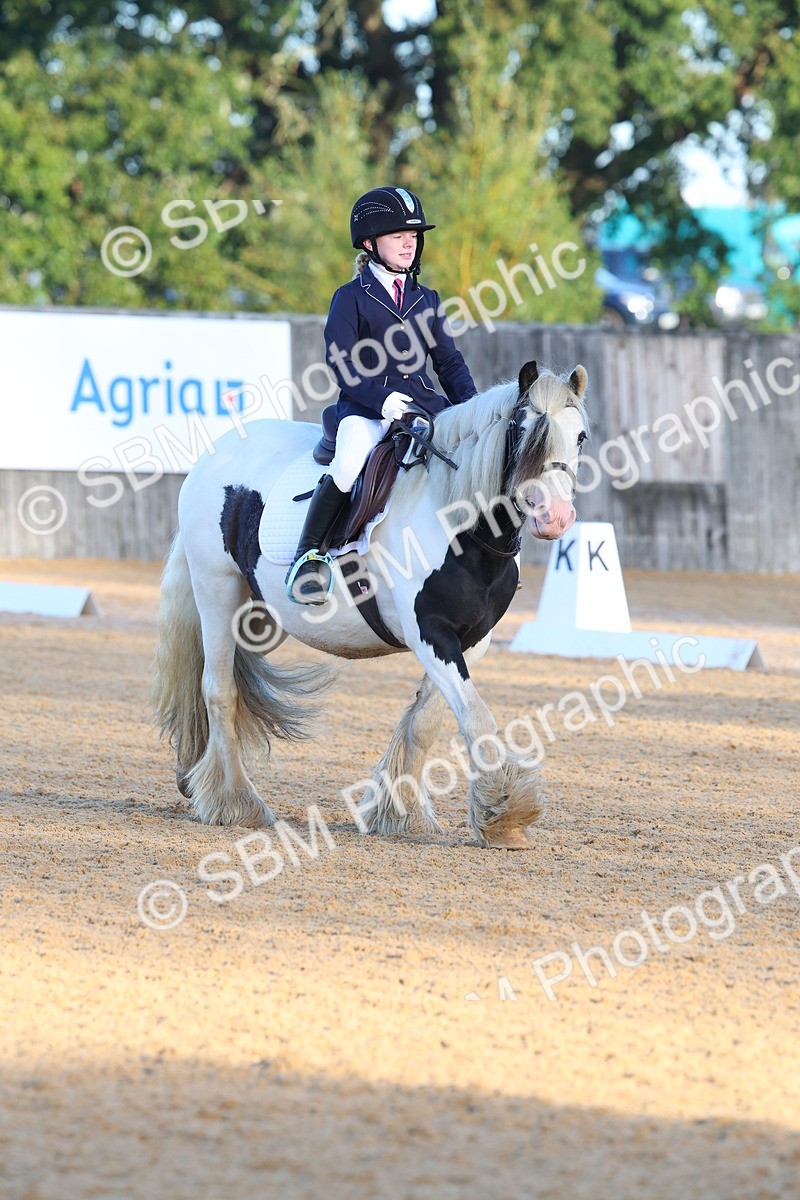 SBM_33442 - D26 - Test Starter Test 1