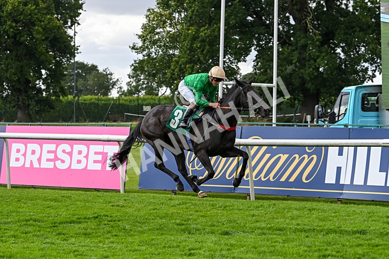 090824-Race 5-Quietness-4773 - Race 5