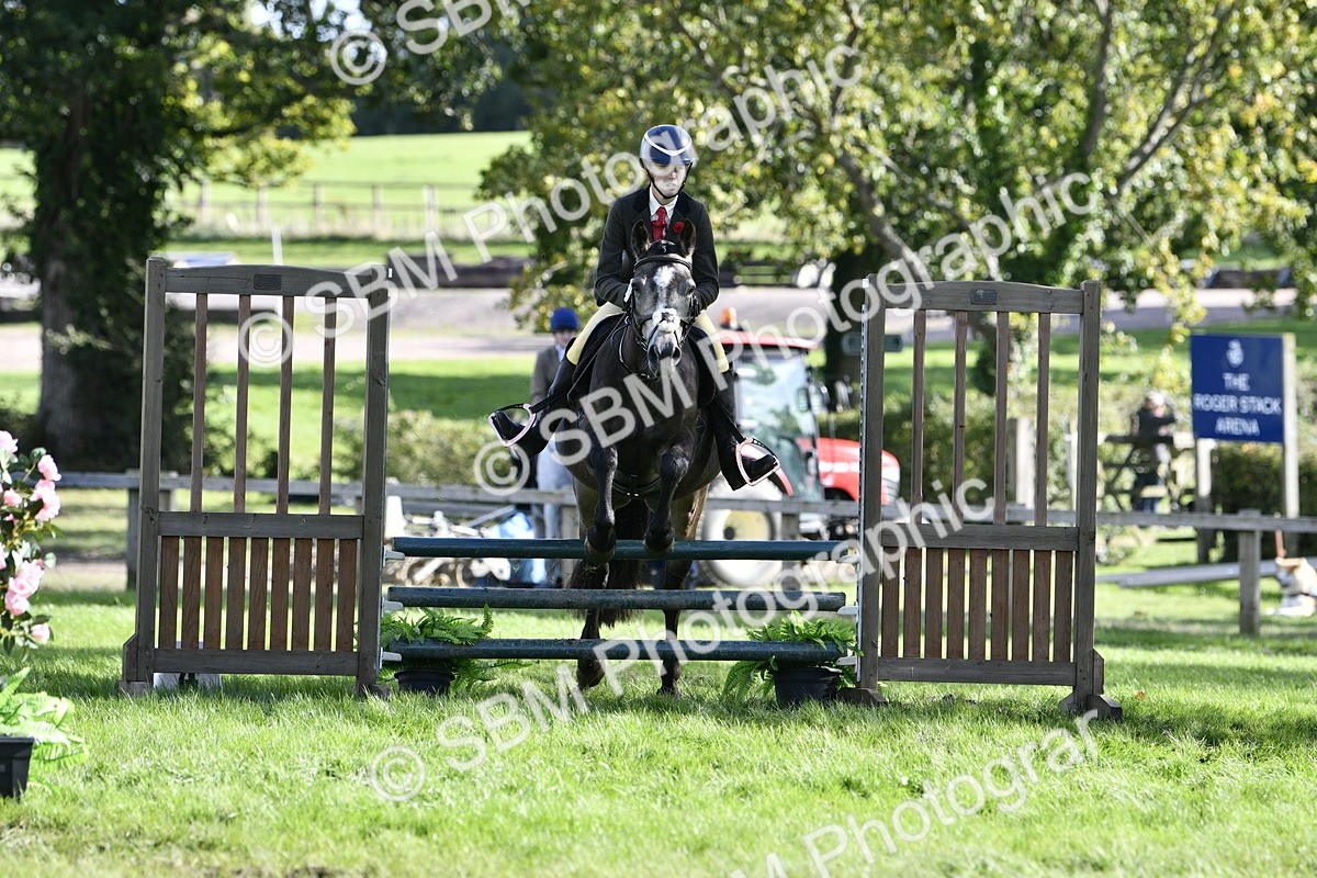 SBM_49985 - S34 - Novice & Newcomers Working Hunter
