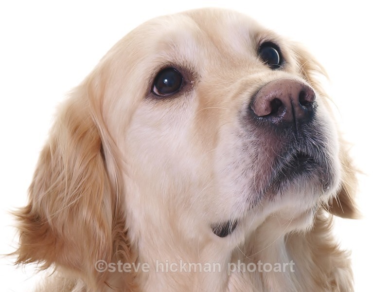  - solo & group portraits