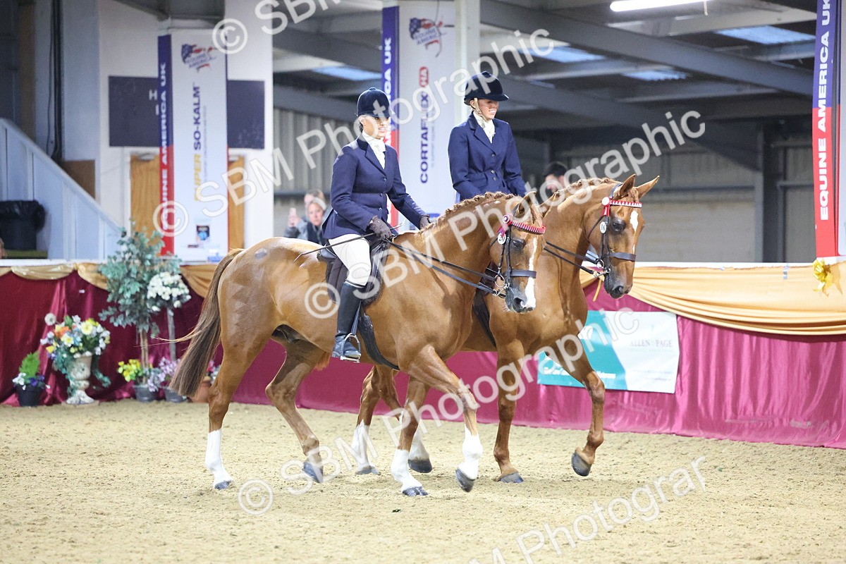 0B8A4324 - Class M Ridden Pairs Champ