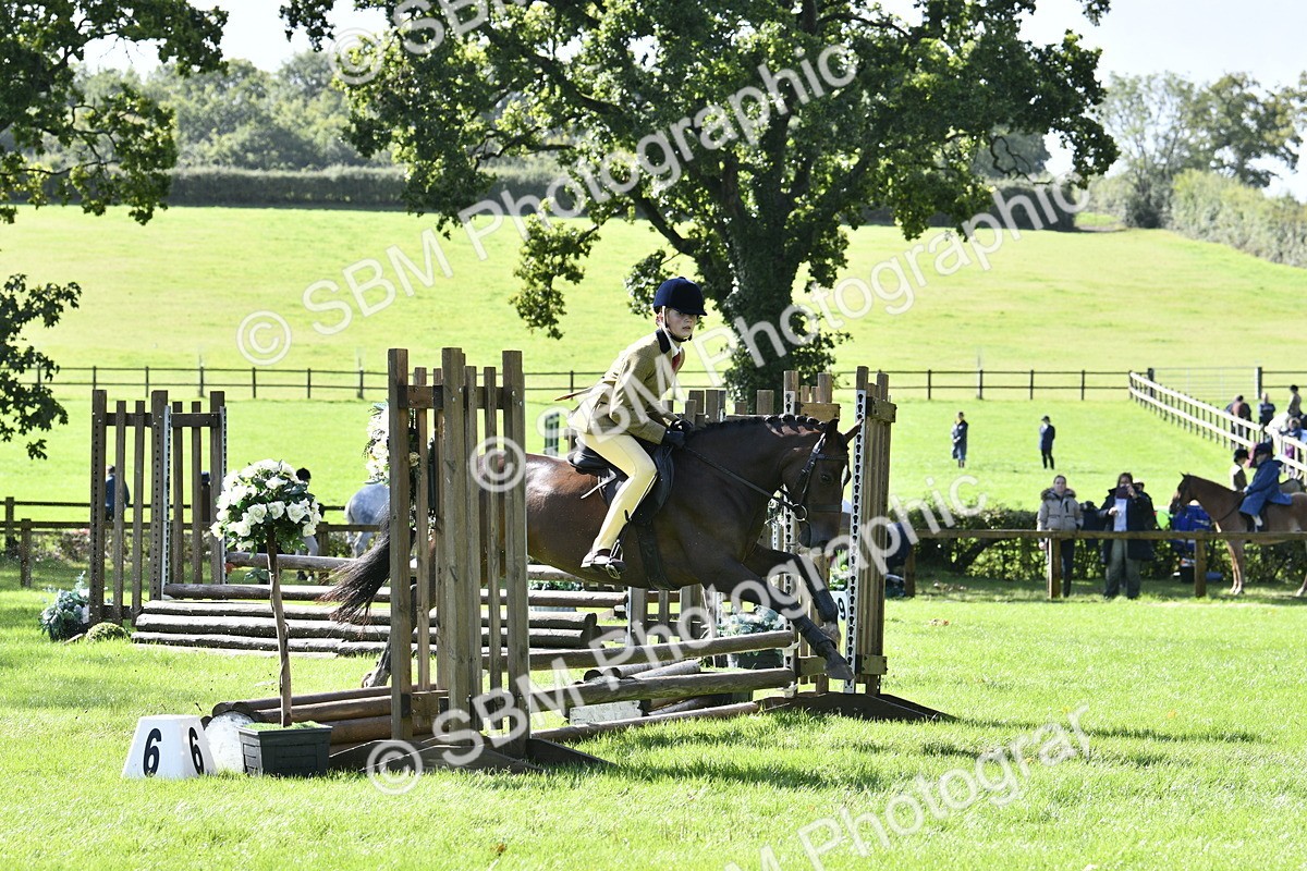 SBM_38260 - S31 - Novice & Newcomer Working Hunter Pony