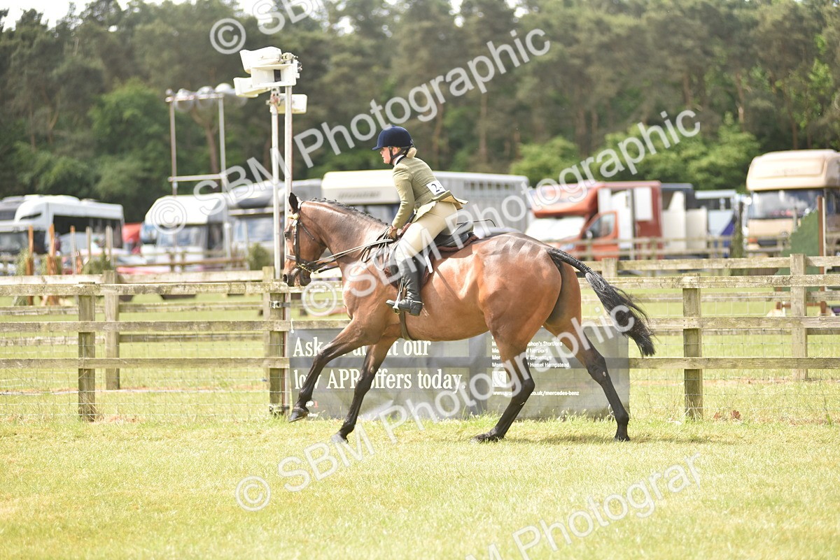 SBM_15096 - Class 113-114 - Retraining of Racehorses Ridden