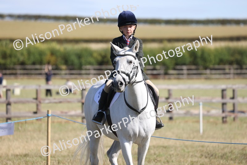 20260906-2156 - Class 16 - Family Pony