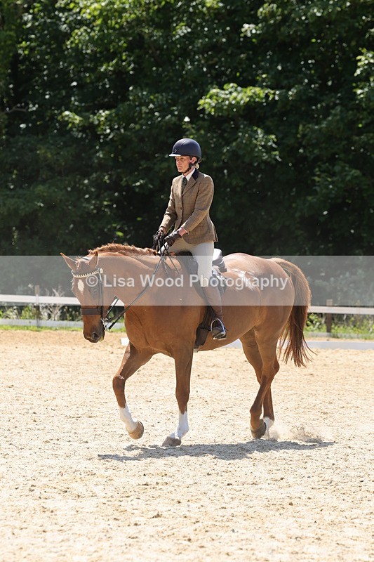 1X9A1882 - Class 12: Ridden Riding Horse/Hack