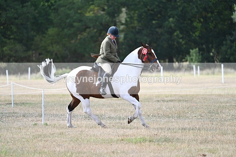 WJ7_7715 - Ridden Championship