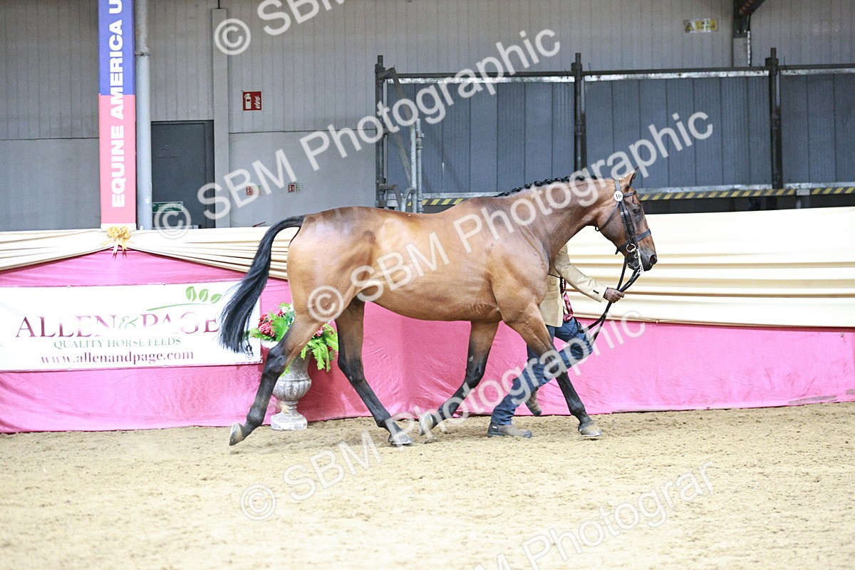 SBM_06632 - Regional - IH Champs