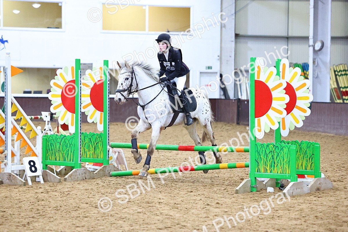 SBM_001315 - Class 3 - Christmas Tree Stakes - 60cm