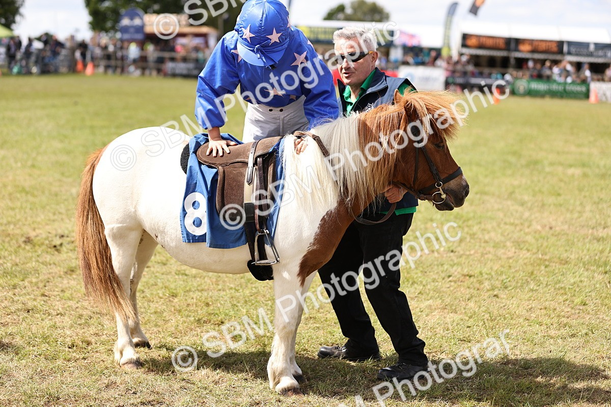 SBM_16661 - Dinky Derby