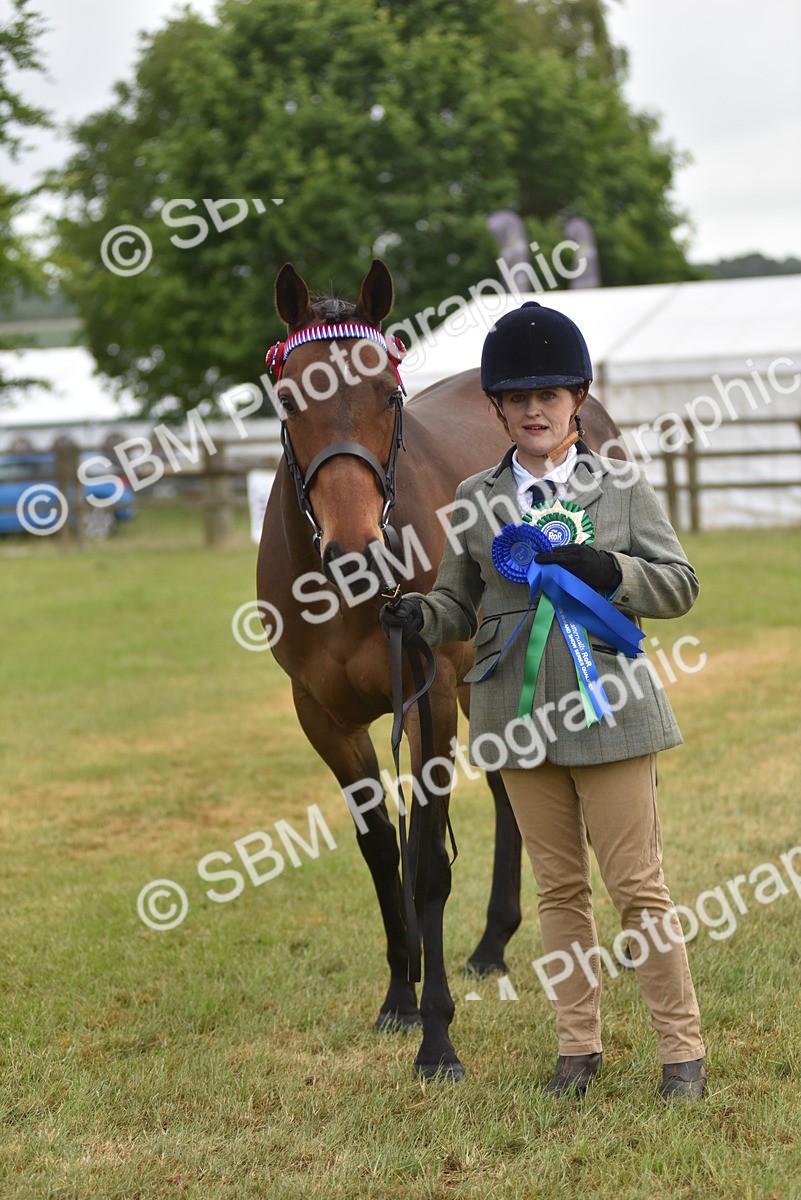 SBM_10679 - Class 109 - Retraining of Racehorses in Hand