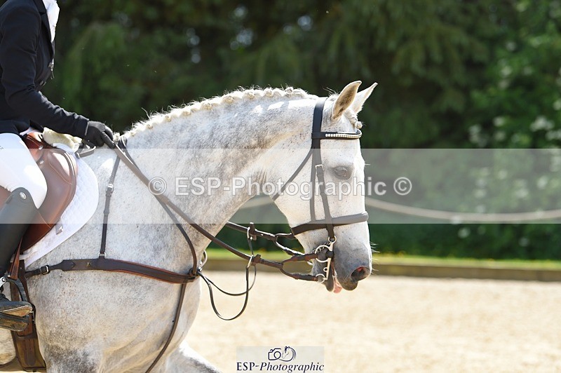 230528-140038-18445 - 170-MIND_OVER_MATTER-Lea_Boulesteix-SUNTrotUp+SJ