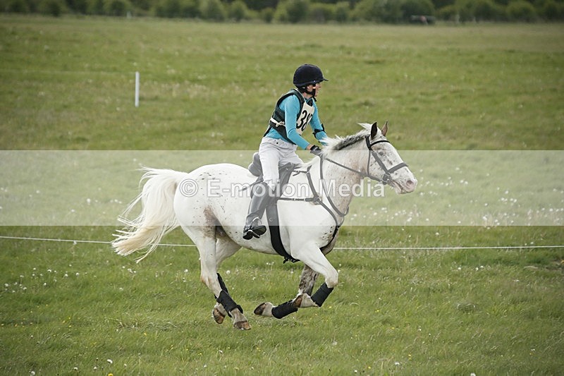 BVHT 140517  NXC -137 - Class 2 XC Novice 14/05/17