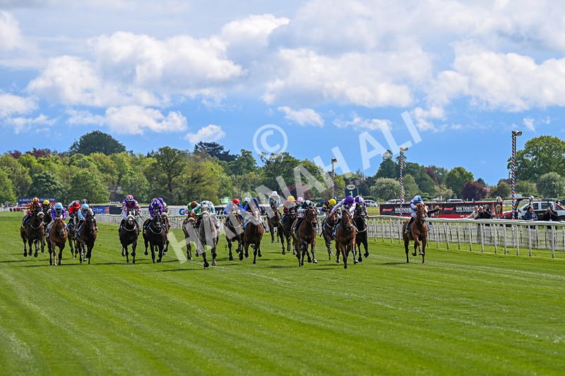 130526-Race 3-Dark Thirty-2742 - Race 3 2.55pm Churchill Tyres Handicap