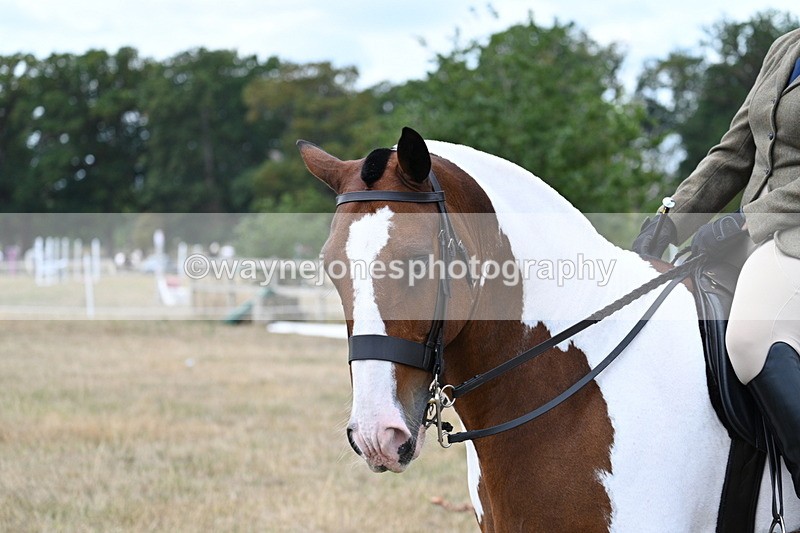 WJ7_5321 - Class 12 Ridden Cob