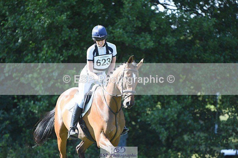 230625-174220-07699 - SJ80 16.55 to 17.50