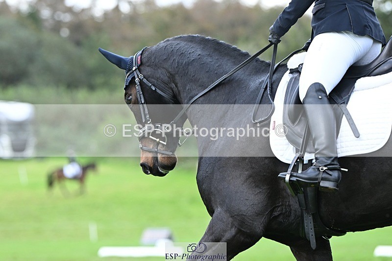 231020-153325-11204 - 506-WOODSTOCK-Gemma.Wood-DR