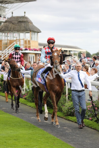 yr17082022r5-10 - Race 5 4.10pm Sky Bet Stayers Stakes