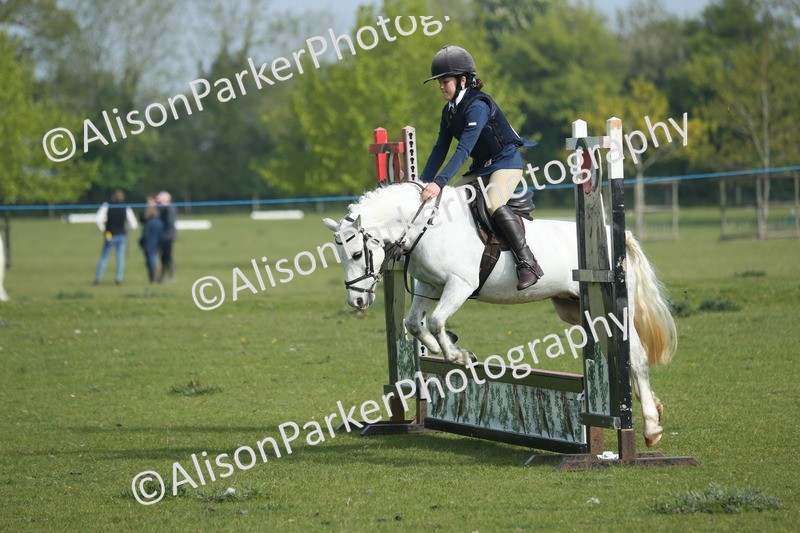 20260426-0100 - Class 13 - Rookie Jumping 50cm