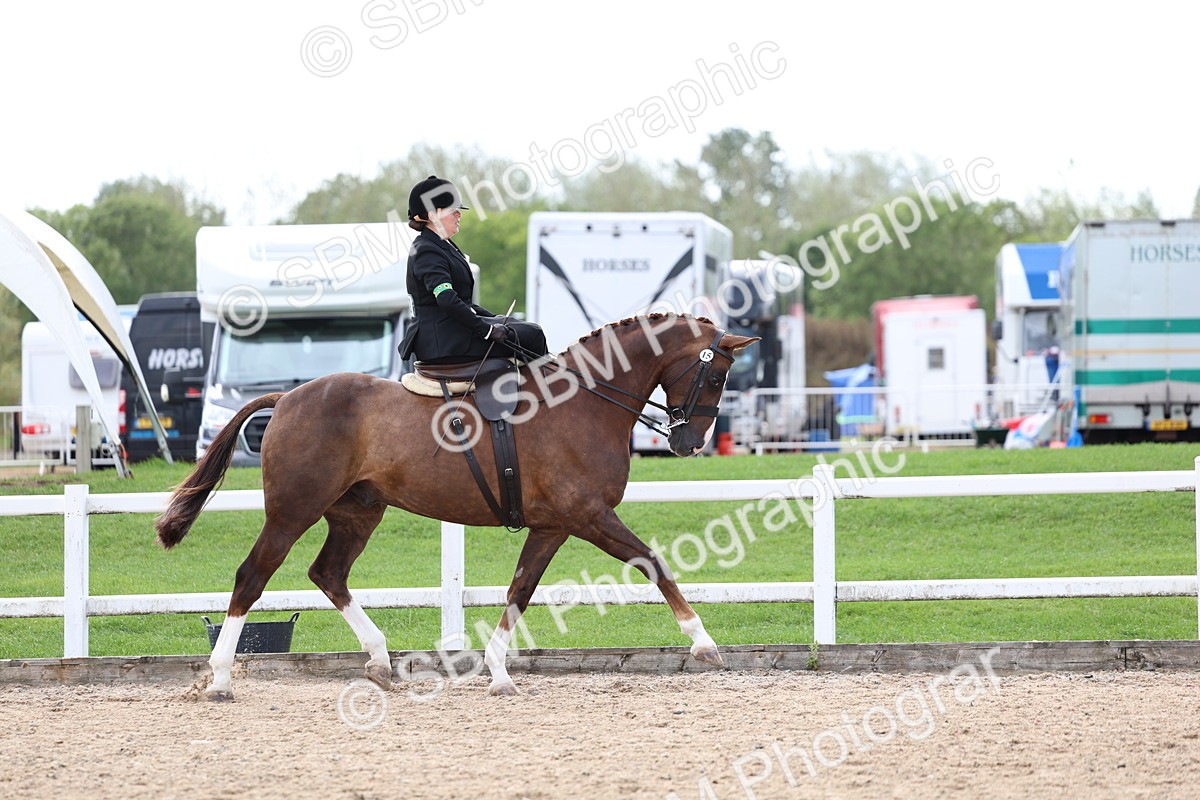 SBM_03180 - Class 22 - SSA Equitation (any age)