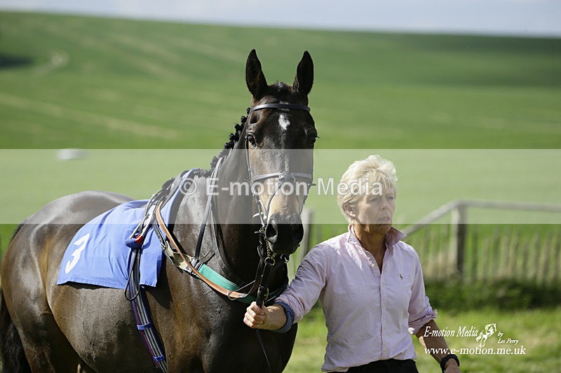 PtP 180422 13 - Old Berkshire PtP Lockinge 18/04/22