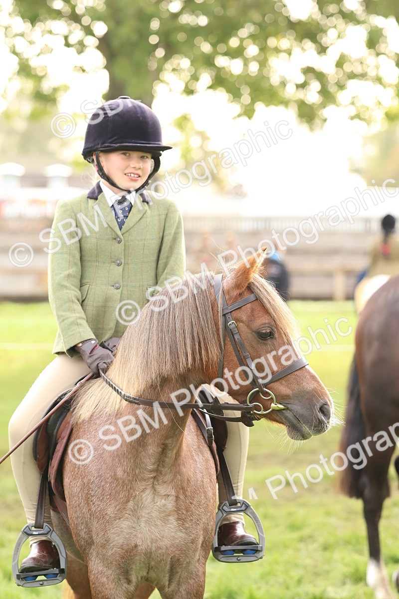 SBM_56649 - S40 - Starters Ridden Showing