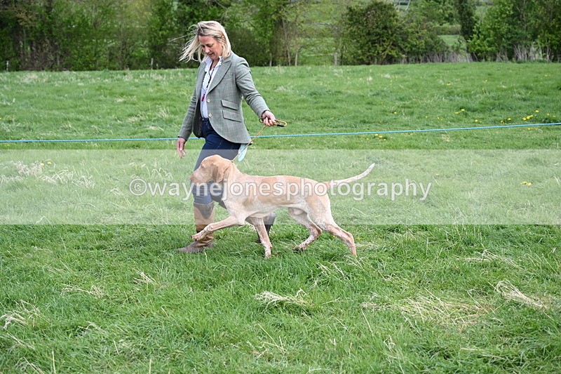 WJ6_8084 - Class 2 Best Pedigree