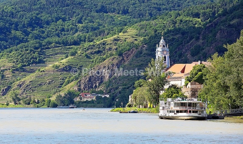  - Vineyards & Vines / Weinberge & Reben