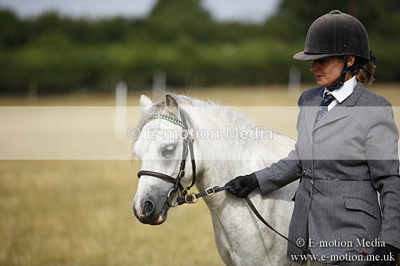 _C7A9181 - BVRC Sow 2018 Ring 2