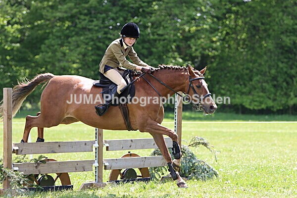 IMG_3644 - Working Hunter