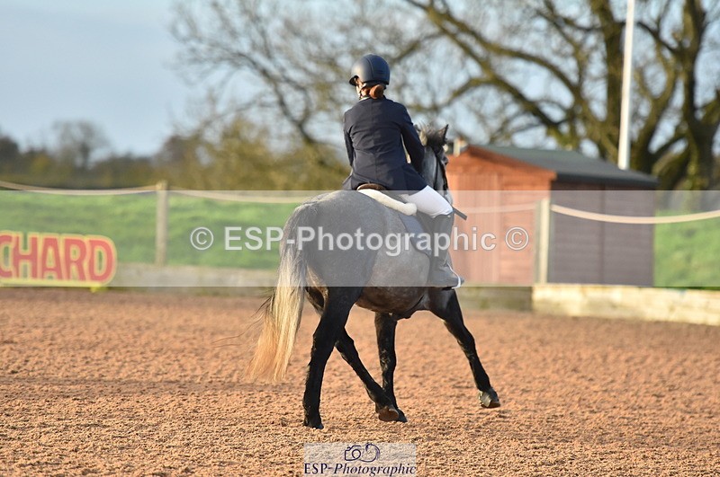 231119A-083112-03983 - Sun Clear Round