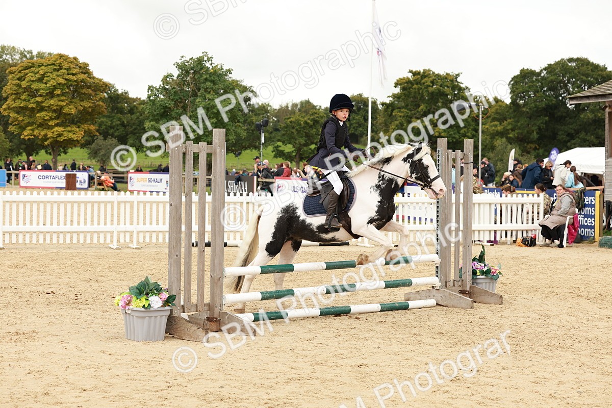 SBM_62133 - J12 - Junior Pony 55cm Championship