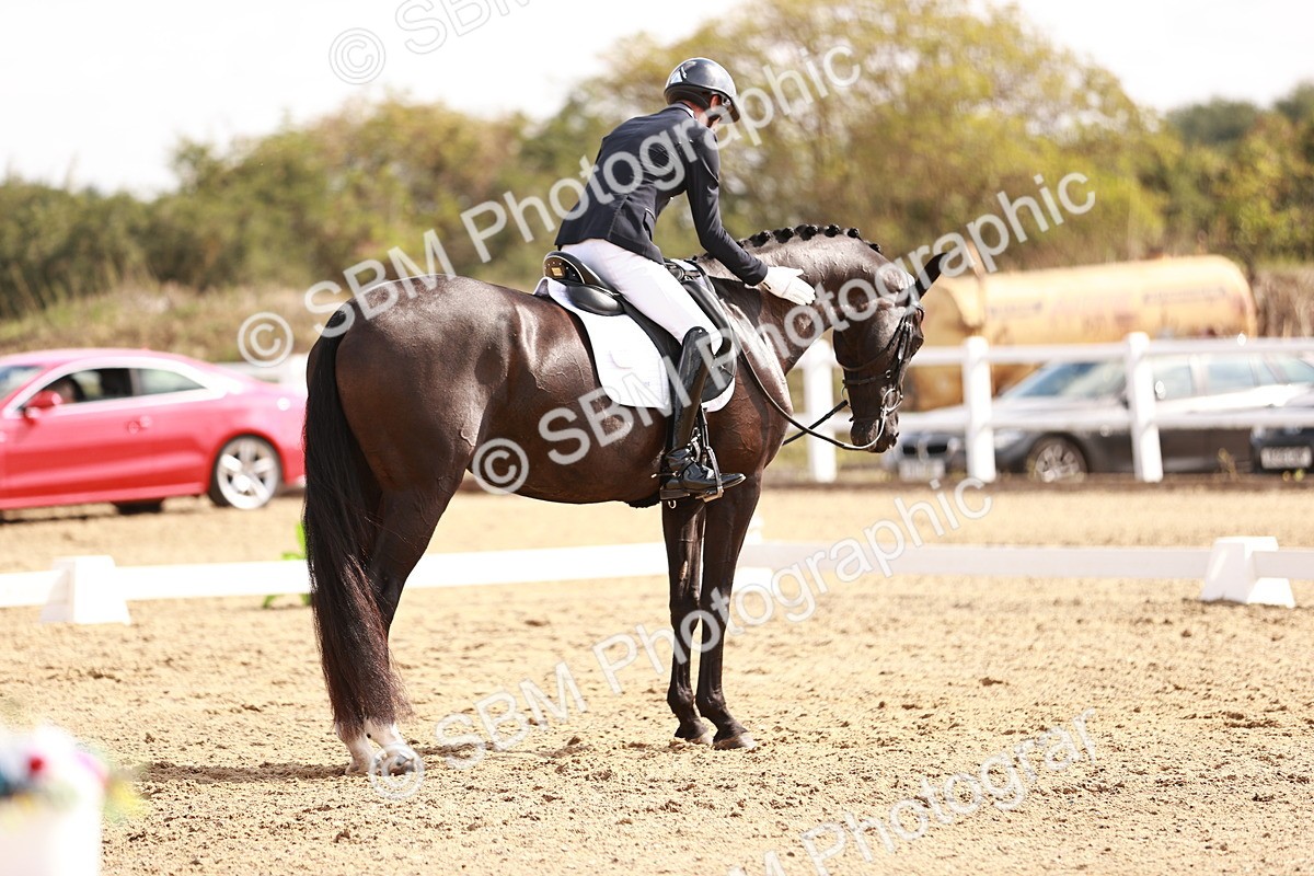 SBM_017639 - Class 11 - Advanced Medium 6