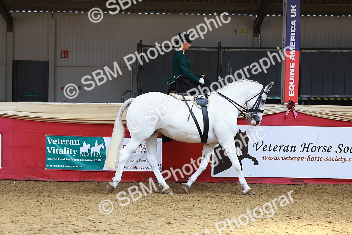 SBM_13871 - Class 106 - Ridden Costume - Side Saddle