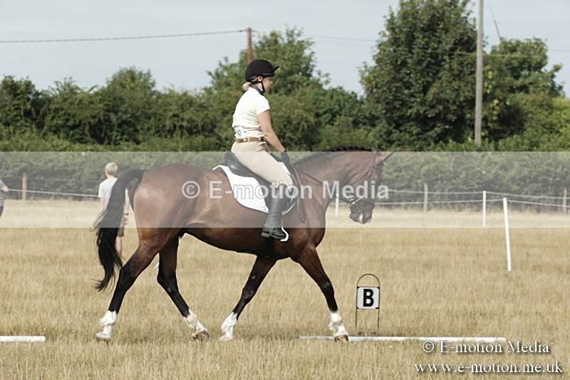 _PJP5682 - Dressage Classes BVRC Show 2018