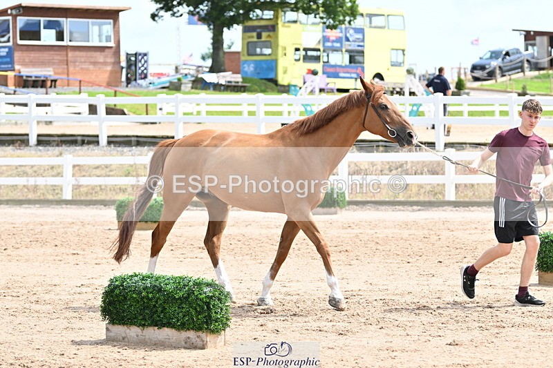 240717A-144503-02262 - Trot Up 2pm to 3pm - This folder is not in time order