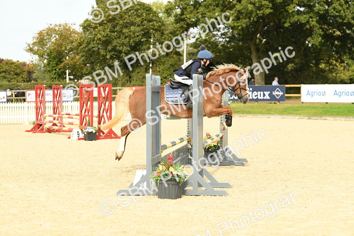 SBM_71034 - J15 - Junior Pony 70cm Championship