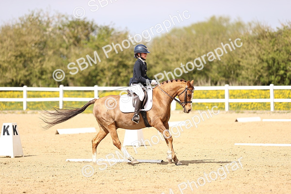 SBM_008463 - Class 8-10-11 - N3-E1-PYO