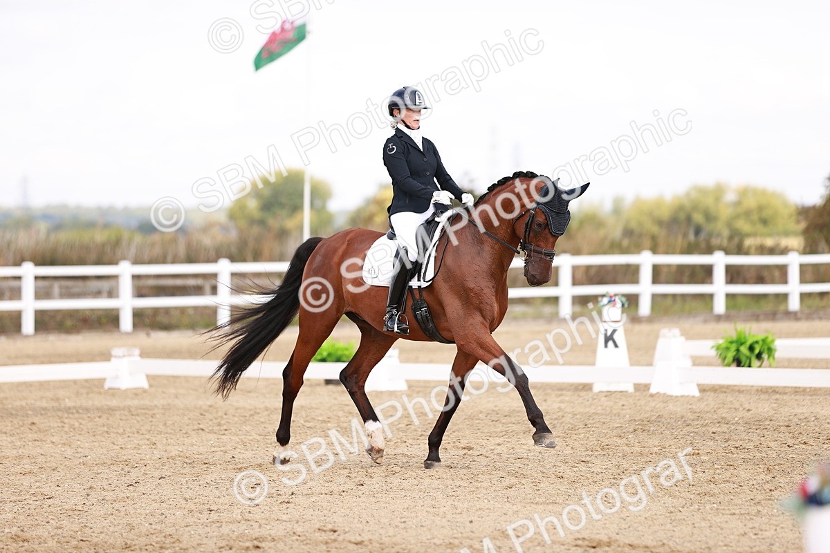 SBM_017662 - Class 11 - Advanced Medium 6