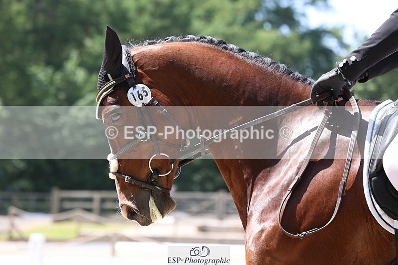 230526-130936-06330 - 165-LEV_IDWJ-Danielle_Frost-WEDTrotUp+DR