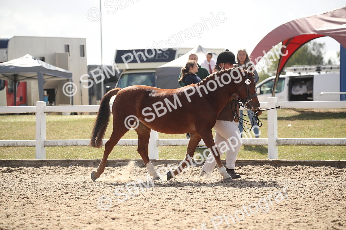 SBM_23109 - Class 606 - 2026 - Area - IH Pre Vet