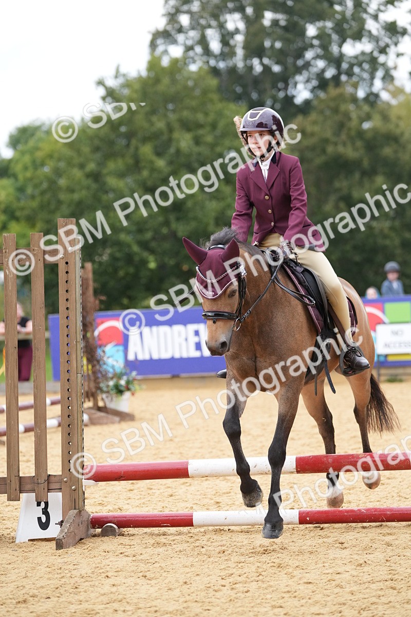 SBM_74827 - J4 - Mini Tour Junior Pony 45cm Championship