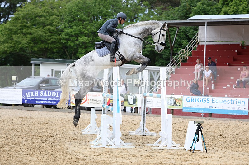 3E7A7562 - Class 8: Senior Foxhunter/1.20 open