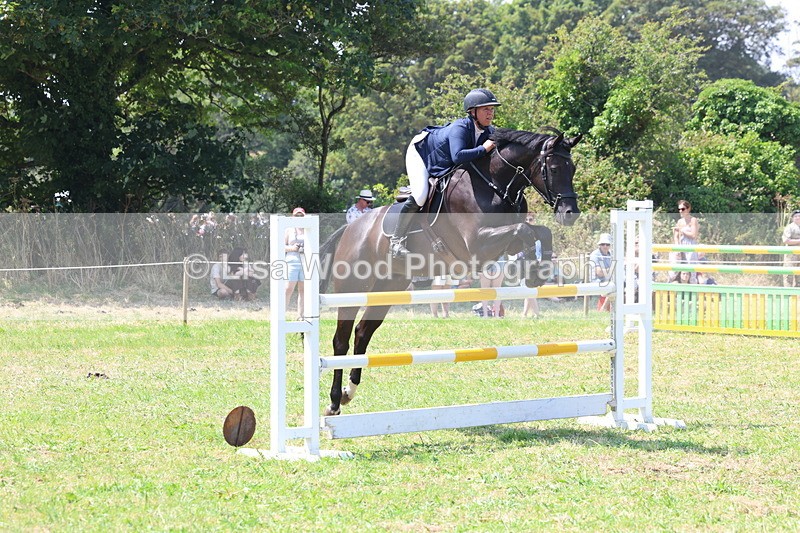 3E7A3374 - Class 10: Senior Foxhunter/1.20 open