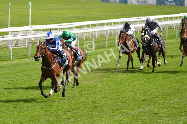 yr13052021r5-11 - Race 5 3.40pm British Stallion Studs EBF Westow Stakes