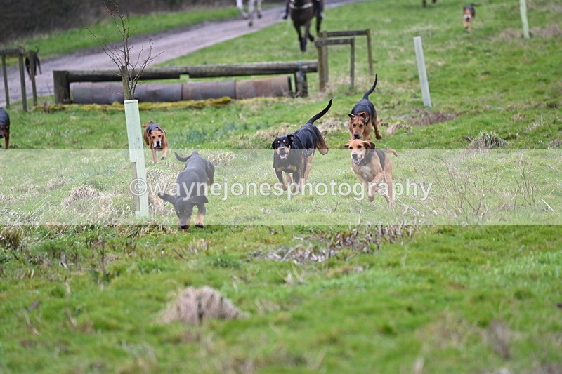WJ6_8189 - Cam B
