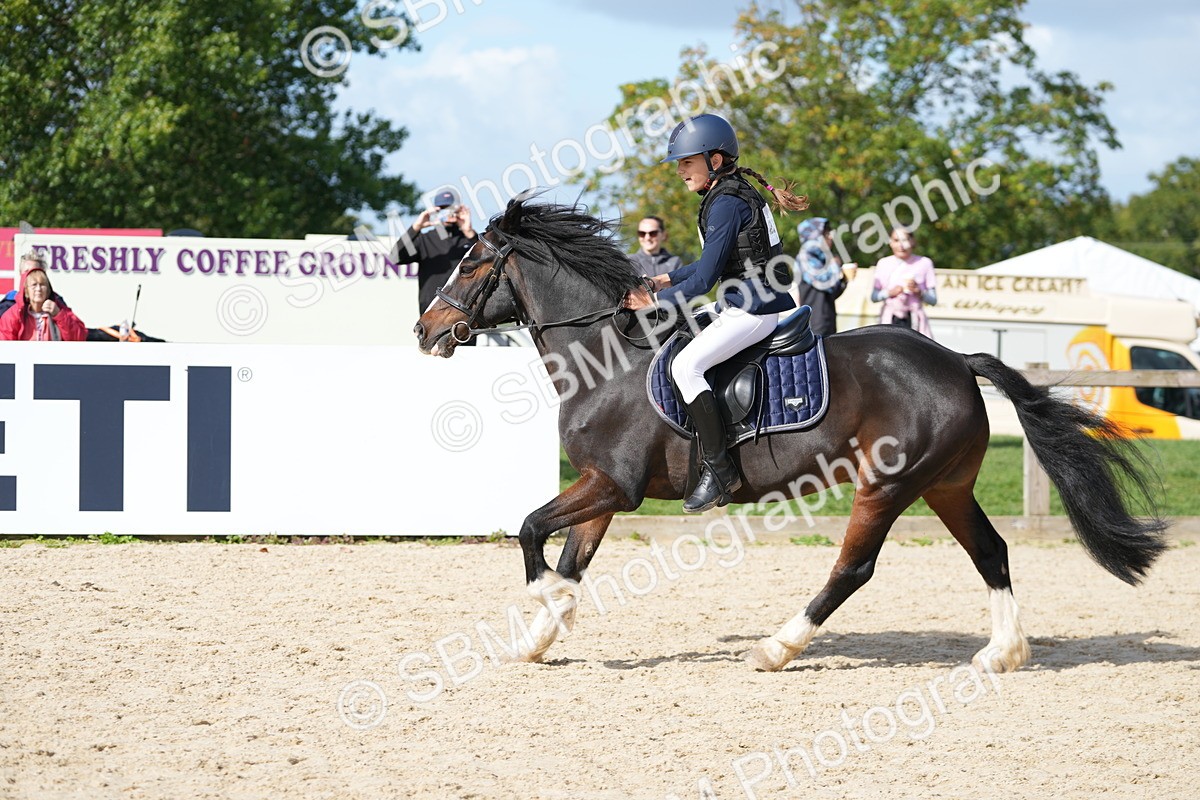 SBM_17805 - J58 - Clear Round 50cm