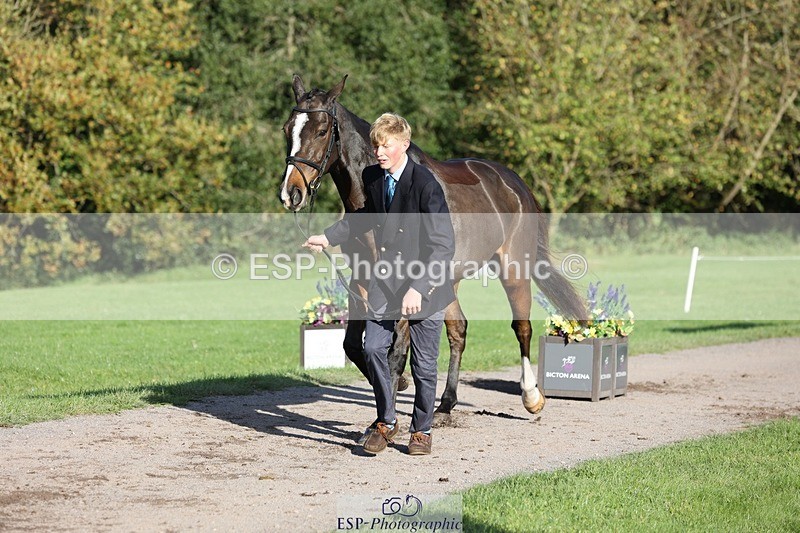 241027-094844-15517 - 542-Tommy.Marsden-HARD.KNOCK.LIFE