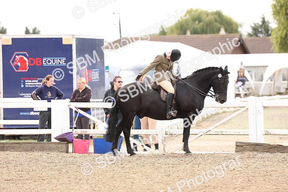 SBM_04226 - Class 54 - Riding Club Horse/Pony
