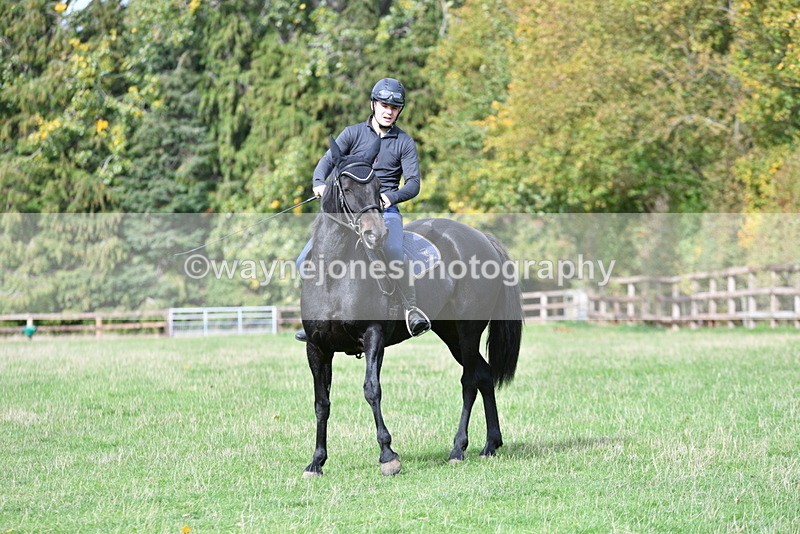 WJ5_9325 - Time 13:03 to 13:25